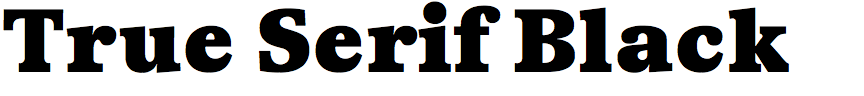 True Serif Black
