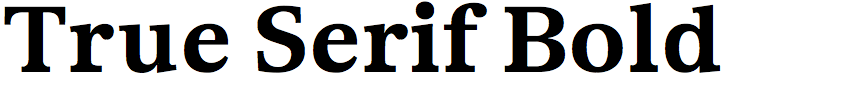 True Serif Bold
