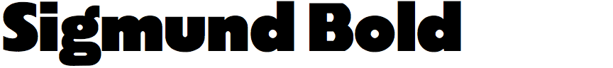 Sigmund Bold