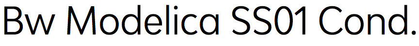 Bw Modelica SS01 Condensed