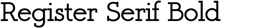 Register Serif Bold
