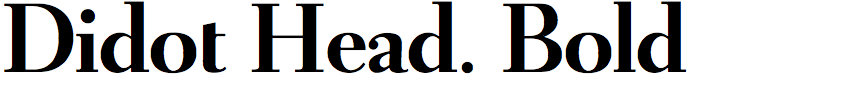 Didot Headline Bold