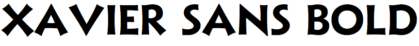 Xavier Sans Bold