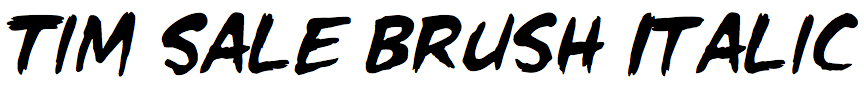 Tim Sale Brush Italic