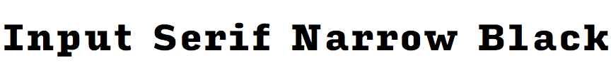 Input Serif Narrow Black