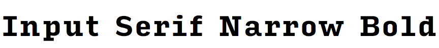 Input Serif Narrow Bold