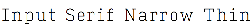 Input Serif Narrow Thin