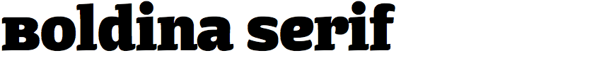 Boldina Serif