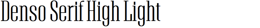 Denso Serif High Light