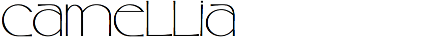 Camellia (EF)