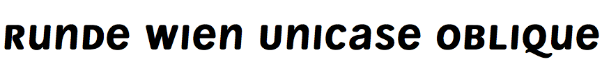 Runde Wien Unicase Oblique