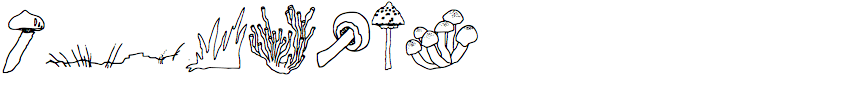 Funghi Mania