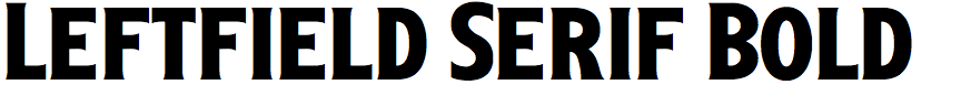 Leftfield Serif Bold