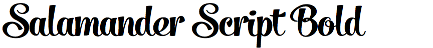Salamander Script Bold