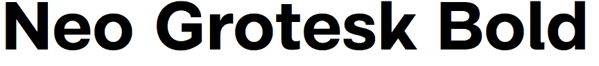 Neo Grotesk Bold