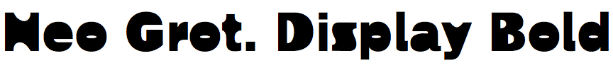 Neo Grotesk Display Bold