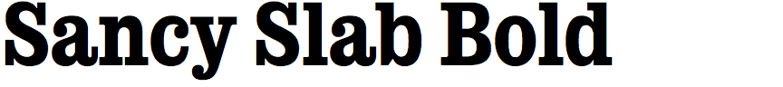 Sancy Slab Bold