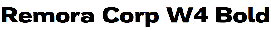 Remora Corp W4 Bold
