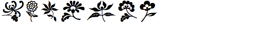 Floral Ornaments