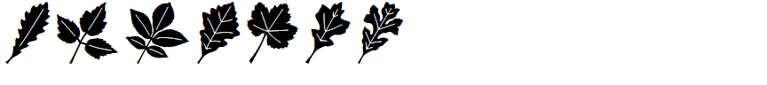 Leaf Assortment