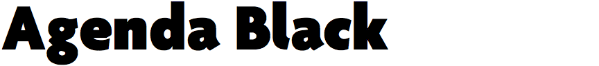 Agenda Black