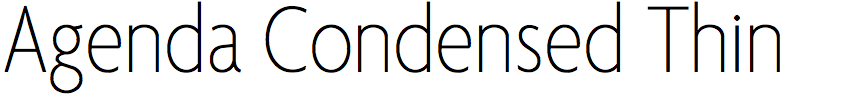 Agenda Condensed Thin