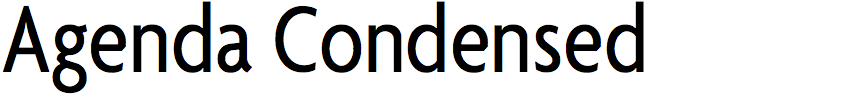 Agenda Condensed