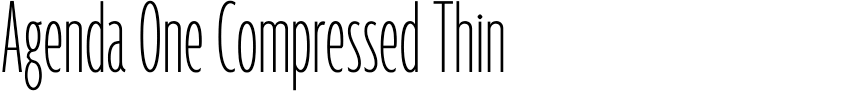 Agenda One Compressed Thin