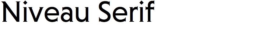 Niveau Serif