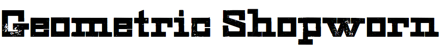 Geometric Shopworn (HWT)
