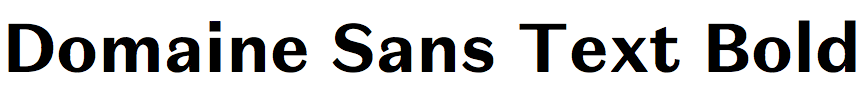 Domaine Sans Text Bold