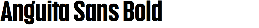 Anguita Sans Bold