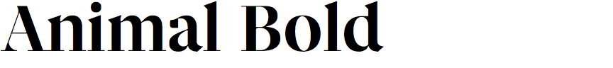 Animal Bold