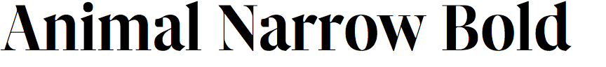 Animal Narrow Bold