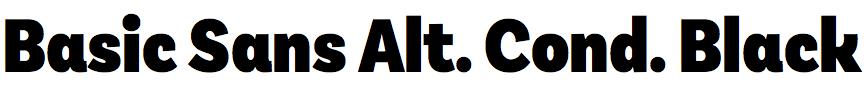 Basic Sans Alternate Condensed Black