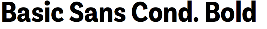 Basic Sans Condensed Bold