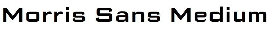 Morris Sans Medium