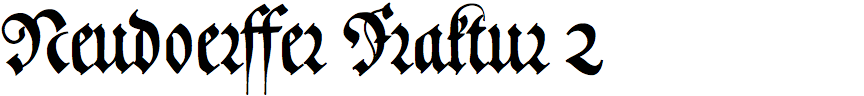 Neudoerffer Fraktur 2