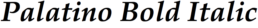 Palatino Bold Italic