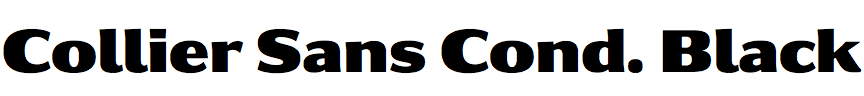 Collier Sans Condensed Black