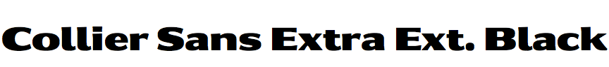Collier Sans Extra Extended Black
