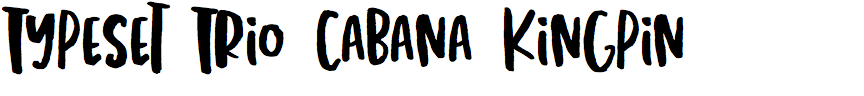 Typeset Trio Cabana Kingpin