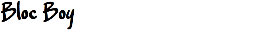 Bloc Boy