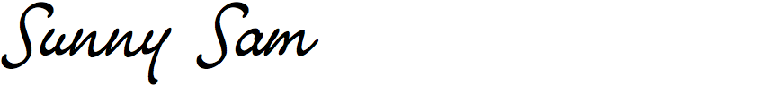 Sunny Sam