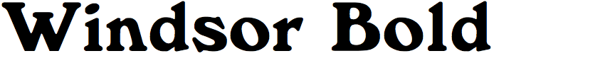 Windsor Bold (Mecanorma)