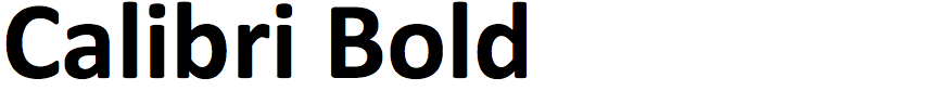 Calibri Bold