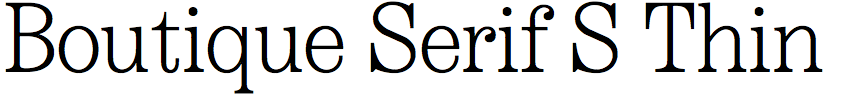 Boutique Serif S Thin