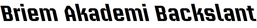 Briem Akademi Backslant
