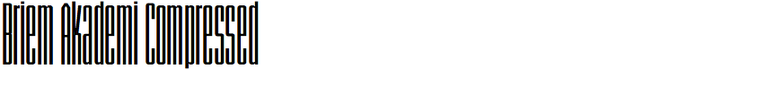 Briem Akademi Compressed