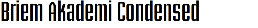 Briem Akademi Condensed